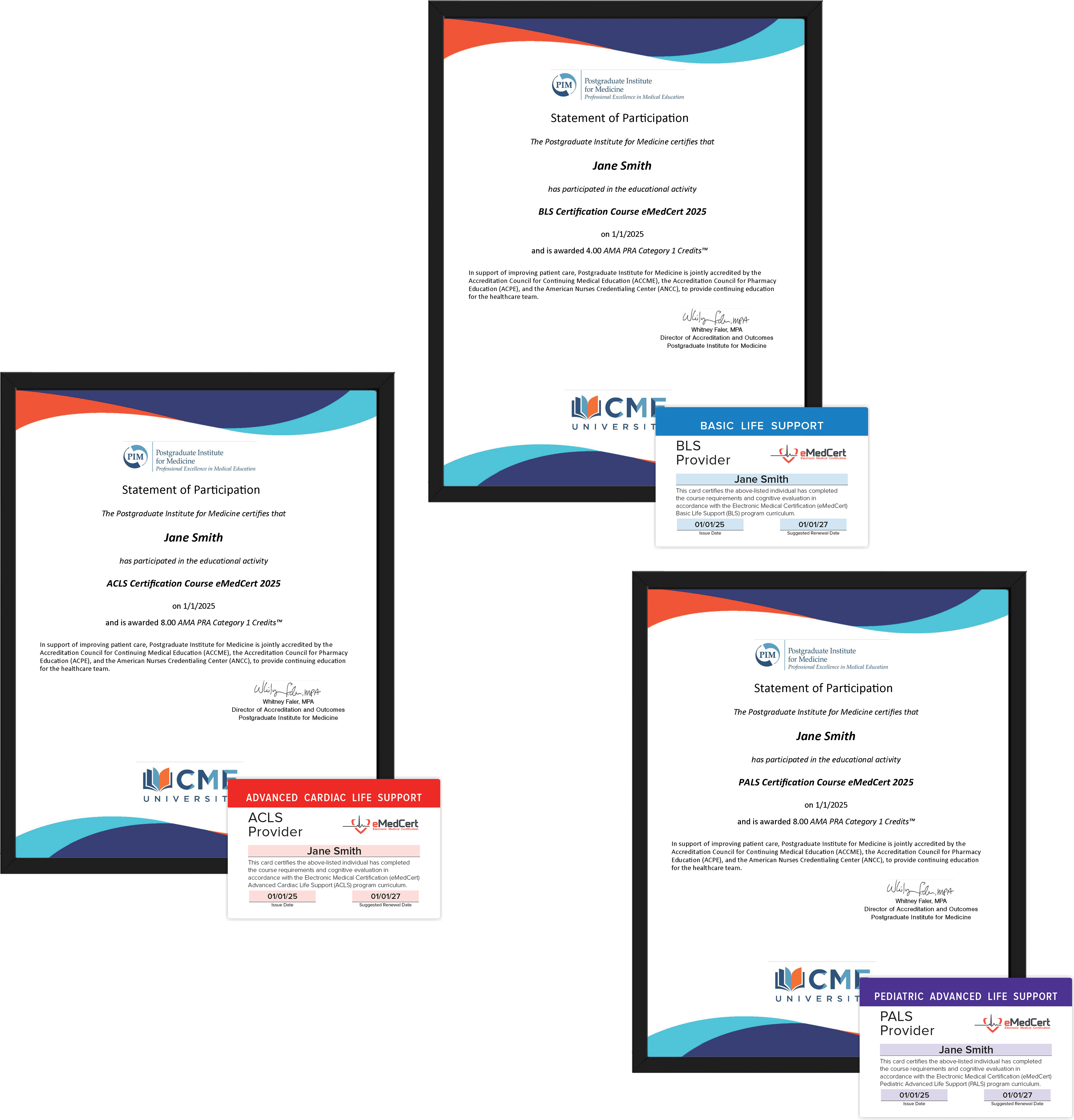 provider-card-online-acls-pals-certifiication